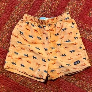 Patagonia Kids' Baggie Shorts 4T